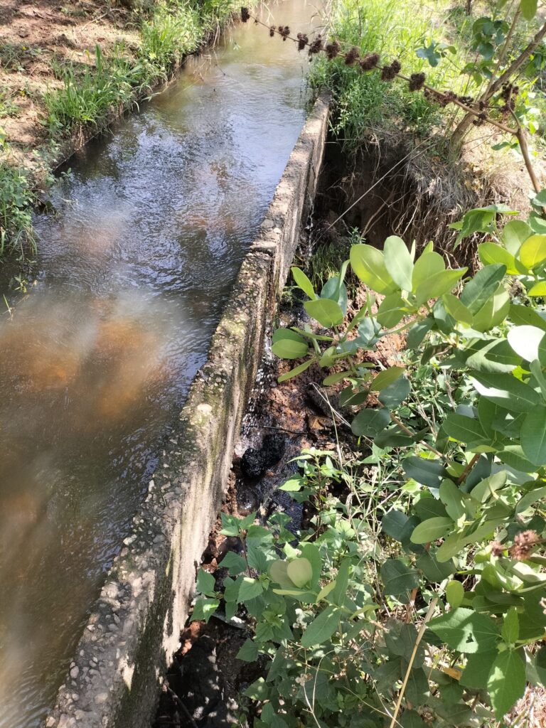 Erosion caused by overtopping